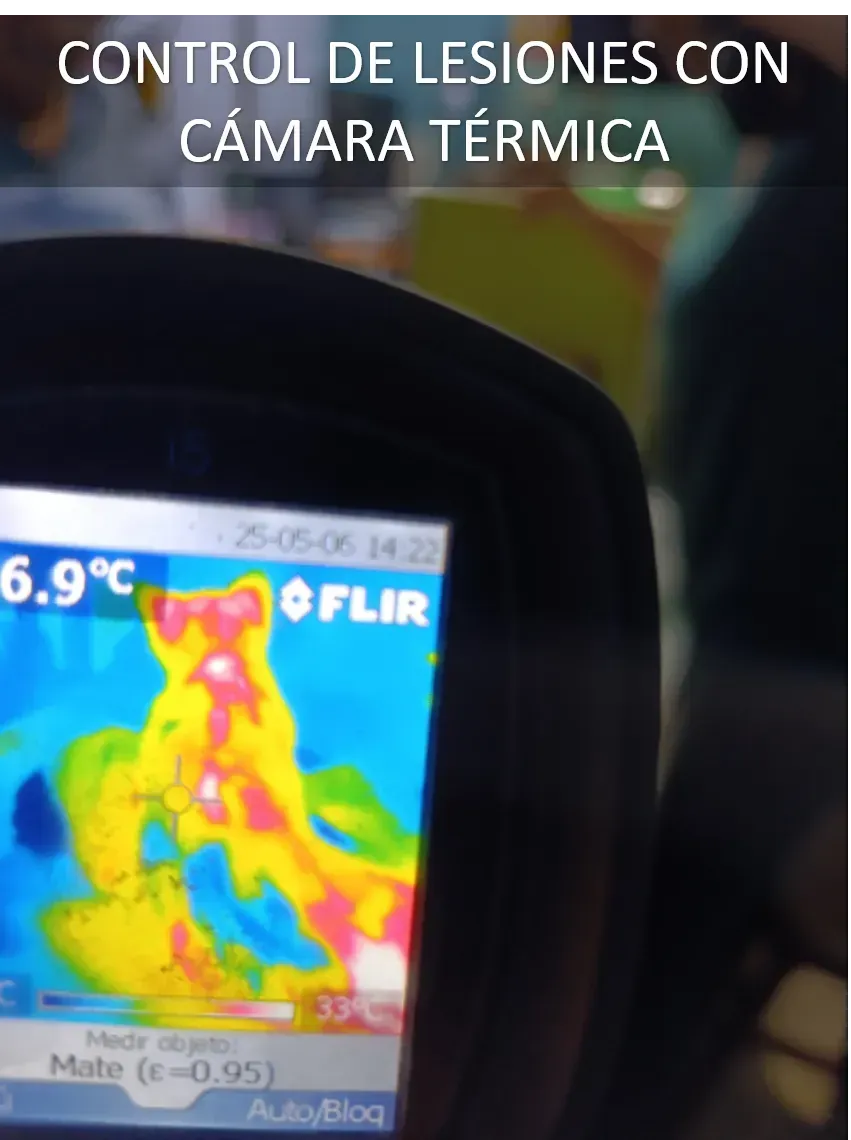 Curas, tratamientos y emergencias